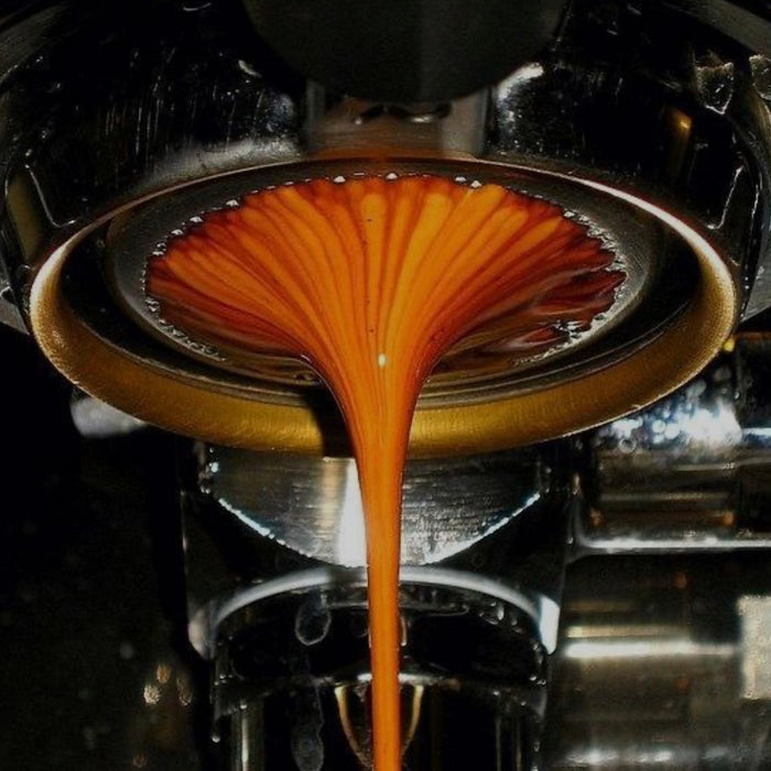 Standard vs. Bottomless Portafilter: A Deep Dive