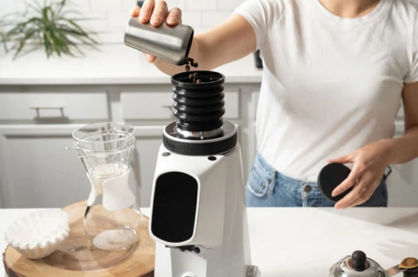 Fiorenzato AllGround Probrew Single Dose Home Coffee Grinder